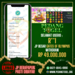 PEDANGTOGEL JACKPOT SLOT GAMES WITHDRAW 49.000.000